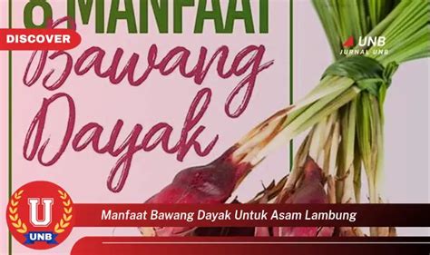 Temukan 6 Manfaat Bawang Dayak Untuk Asam Lambung Yang Wajib Kamu Intip