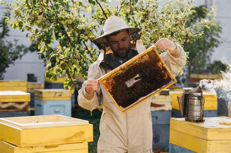 L Apiculteur Tient Une Cellule De Miel Avec Des Abeilles Dans Ses Mains