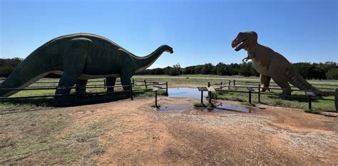 Dinosaur Valley State Park Texas Notordinaryblogger