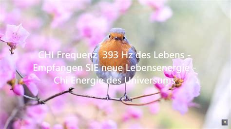 CHI Frequenz 393 Hz Des Lebens Empfangen SIE Neue Lebensenergie Chi