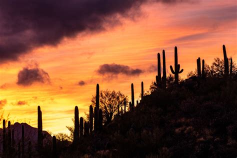 11 Best Places to See the Sunset in Tucson You'll Love You'll Love I Boutique Adventurer