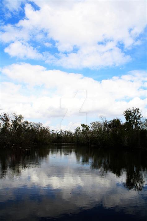 Louisiana Swamp_03 by Megan87 on DeviantArt