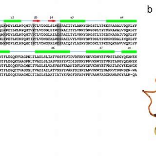 Structure Of CpGSTd1 A Structure Based Sequence Alignments Of C