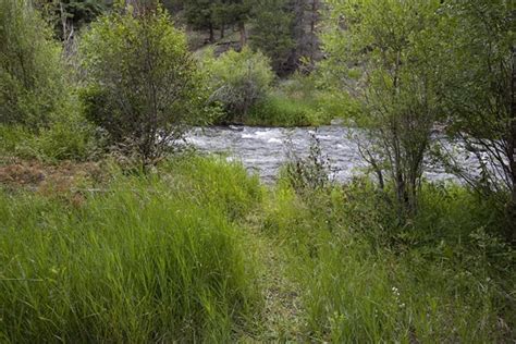 BLM Cebolla Creek Campground, Powderhorn, CO - GPS, Campsites, Rates ...