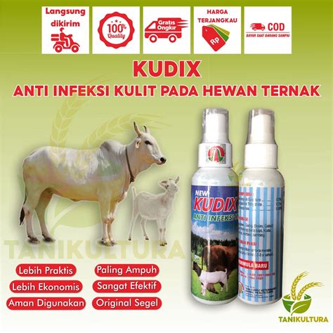 Jual Kudix Spray Sapi Anti Infeksi Kulit Obat Scabies Koreng Luka