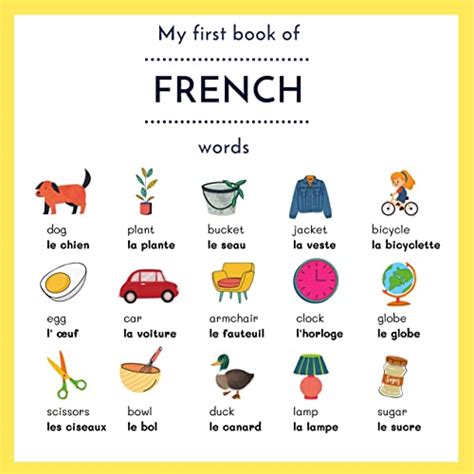 My First Book Of French Words: My First Words in French | English French Bilingual Picture ...