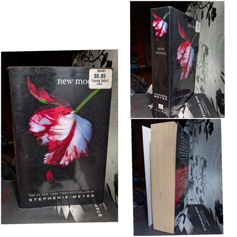 Twilight Saga Stephenie Meyer Book Set Hobbies Toys Books