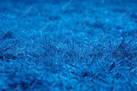 Premium Photo Grass Texture In Trendy Blue Color