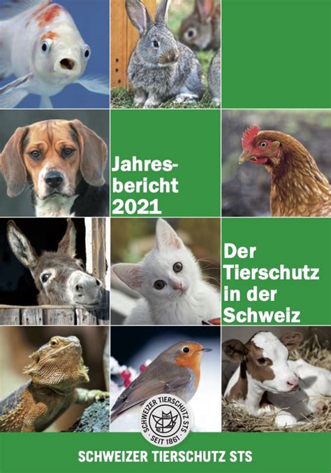 Schweizer Tierschutz Sts Jahresbericht