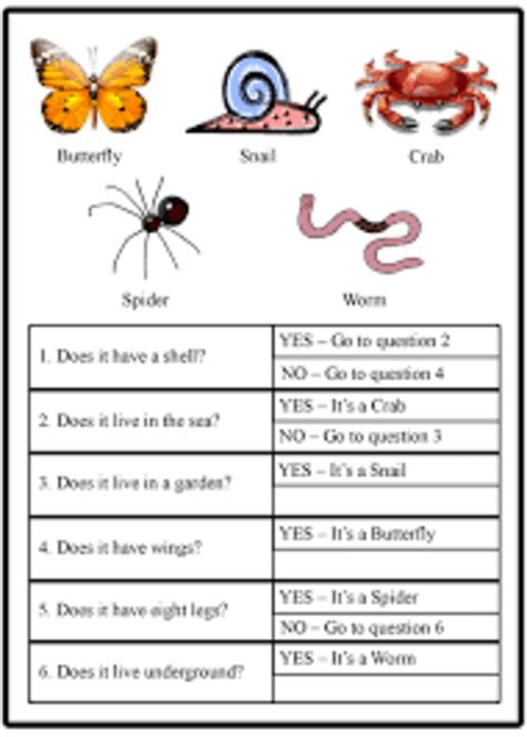 What Is A Classification Key Answered Twinkl Teaching Wiki