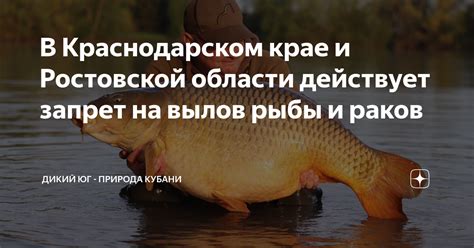 В Краснодарском крае и Ростовской области действует запрет на вылов ...