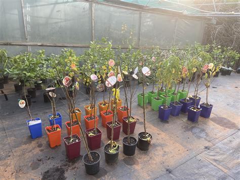 Square Stem Designs added a new photo. - Square Stem Designs