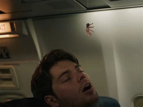 Spiders On A Plane 2024