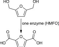 EnzymeCatalyzed Oxidation Of 5Hydroxymethylfurfural To Furan2 5