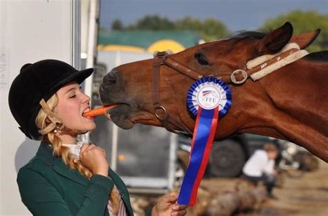 Noms Pour Chevaux M Les Et Femelles