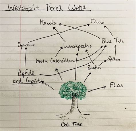 Ecosystems Flashcards Quizlet