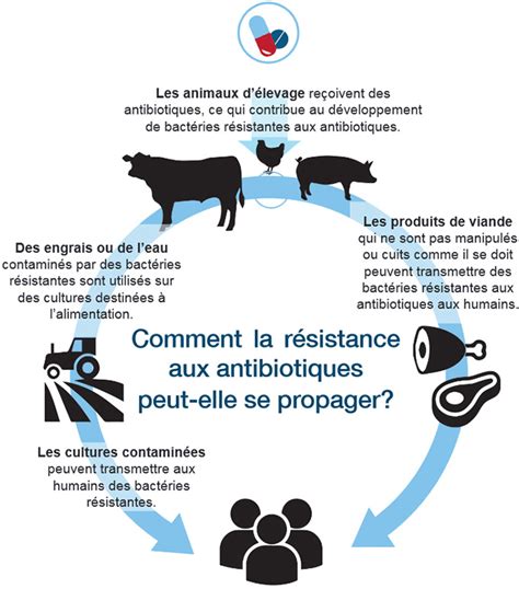 Fiche D Information Scientifique La R Sistance Aux Antimicrobiens