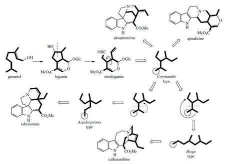 Terpenoid Indole Alkaloids | Alkaloids from Plants | Medicinal Herbs | Botany | Biocyclopedia.com