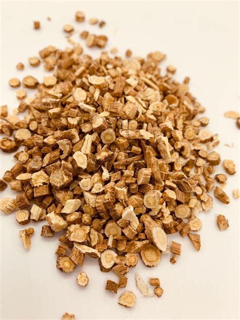 Astragalus Root Astragalus Propinquus Syn Astragalus Etsy