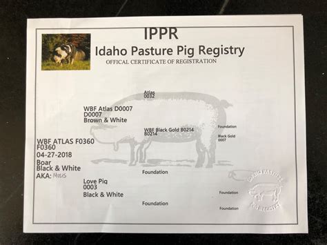 Idaho Pasture Pigs Luna Acres