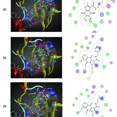 Chemical Structures Of The Indeno B Indoles With Their Tested And