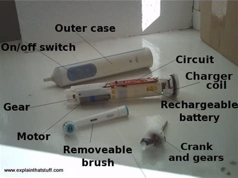 How Do Electric Toothbrushes Work Explain That Stuff