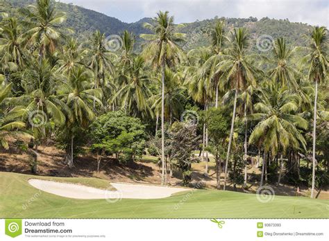 Beautiful Golf Course And Palm Tree Island Koh Samui Thailand Stock