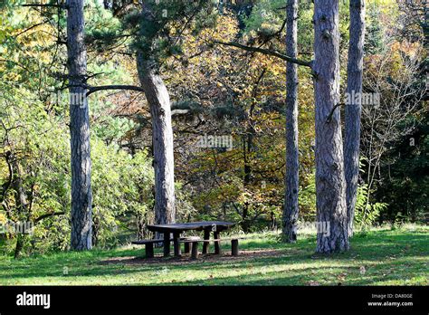 Beautiful nature in fall colors Stock Photo - Alamy