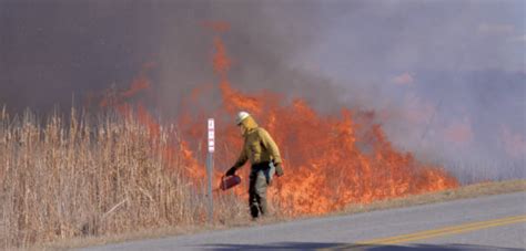 Wildfire Smoke Health Risks Health And Wellness Community Article By