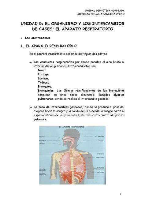 PDF U05 El Aparato Respiratorio DOKUMEN TIPS