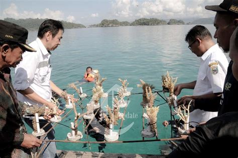 IMIP Rehabilitasi Terumbu Karang Di Pulau Sombori Expose Update