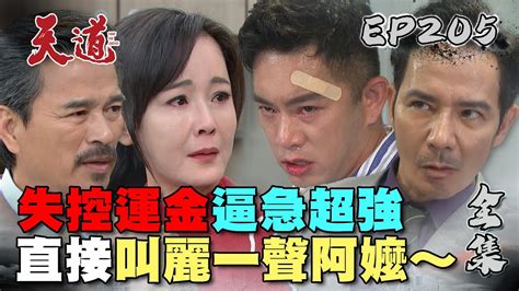 天道 Ep205 完整版｜失控運金逼急超強 叫麗萍一聲阿嬤重仁聽到好剉 轉生秘密全都知道了？｜fight For Justice｜【pp石墨烯