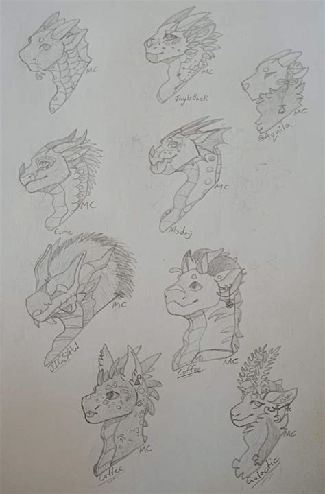 Finished Sketch Headshots Wings Of Fire Amino