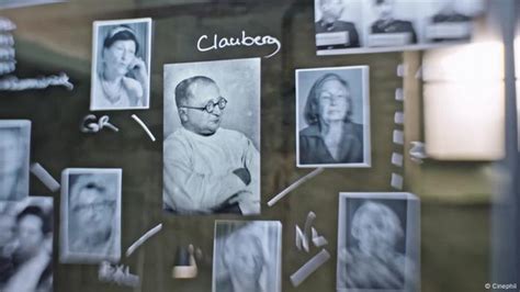 Experimentos médicos en Auschwitz Clauberg y las mujeres del Bloque