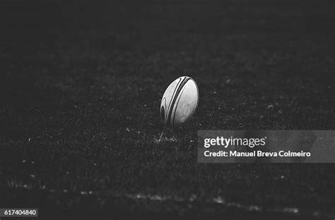 3808000 Rugby Stock Photos High Res Pictures And Images Getty Images