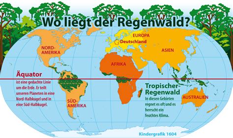 Warum Ist Der Regenwald In Gefahr Duda News