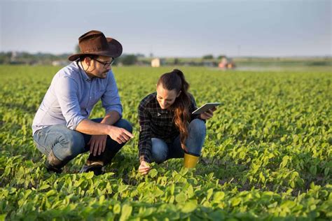 O ato de plantar em solo fértil para conseguir alimento é quase tão