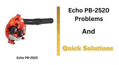 5 Typical Echo PB-2520 Troubleshooting Problems! (Fixed) - PowerToolsAsk