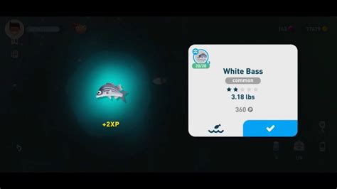 White Bass Location Creatures Of The Deep YouTube