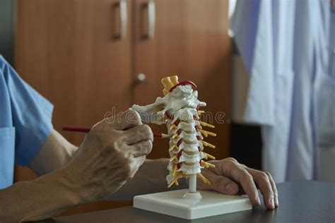 A Neurosurgeon Demonstrating Human Lumbar Spine Model Anatomy Stock