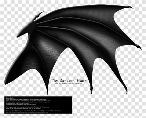 Dragon Wing Black Dragon Wings Apparel Building Transparent Png