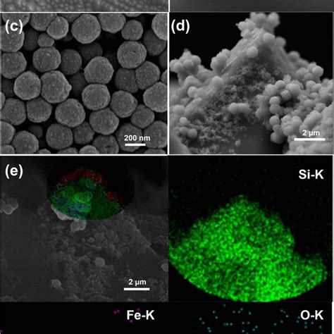 SEM images of the as-prepared textured Si wafer (a top-view ... 