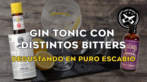 Gin Tonic Con Distintos Bitters Angostura Y Gibson Degustando En