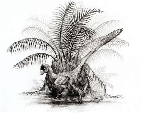 Hesperonychus Pictures & Facts - The Dinosaur Database