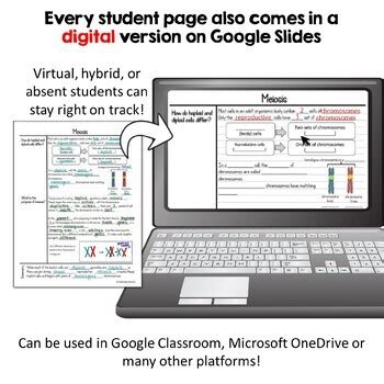 Biology Cornell Notes - Mendelian Genetics, Incomplete Dominance ...