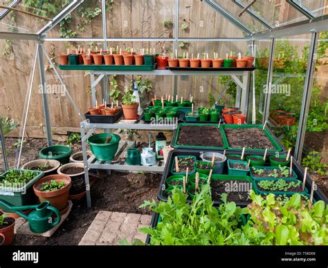 Para jardineros aficionados fotografías e imágenes de alta resolución