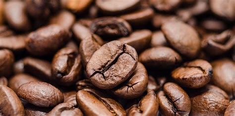 Qual é o maior produtor de café do mundo Veja lista