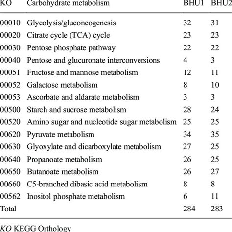 Carbohydrate Metabolism Kegg Kyoto Encyclopedia Of Genes And Genomes