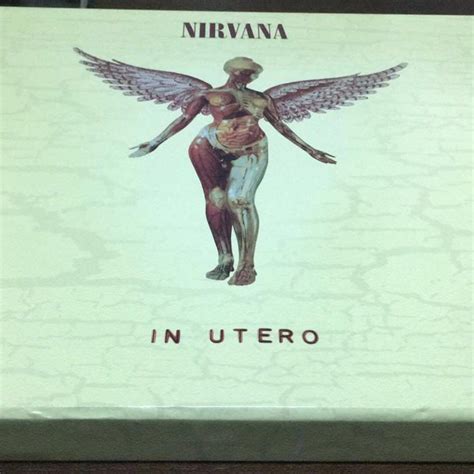 Nirvana In Utero Super Deluxe Edition Box Set 3cddvd Mint Tv