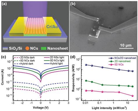 Optoelectronic Performance Comparison Of The Heterostructure